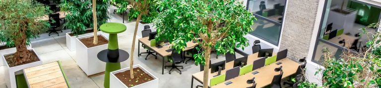 Biophilic design