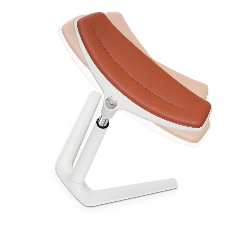 Draaibare kruk Kinetic