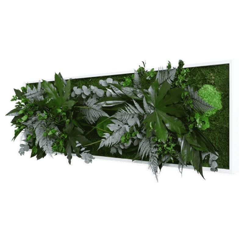 Mos schilderij met junlge planten