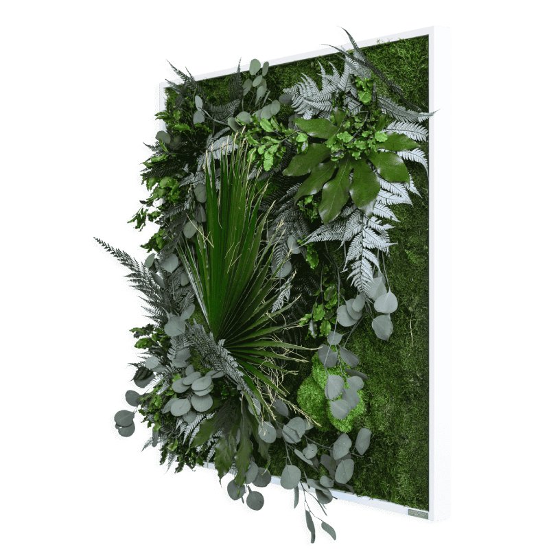 Verticale tuin met mos en planten