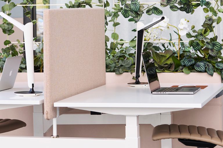 Wit duo bureau met bureaulampen en een roze akoestische scheidingswand van Gotessons.