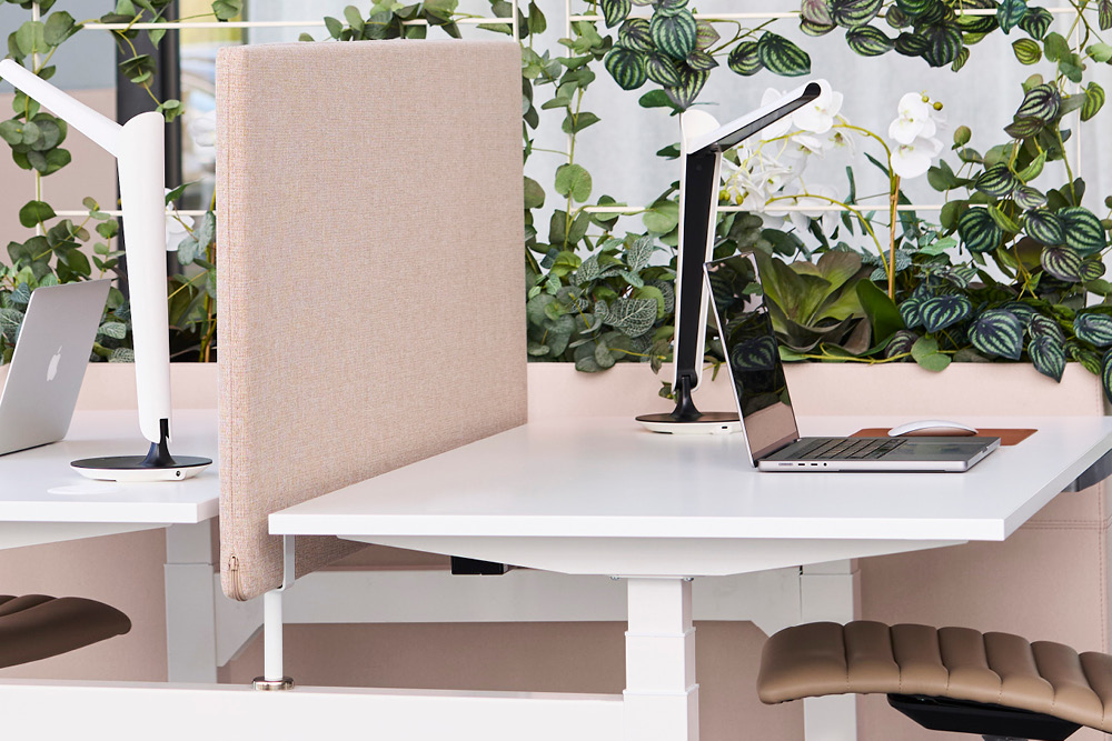 Wit duo bureau met bureaulampen en een roze akoestische scheidingswand van Gotessons.