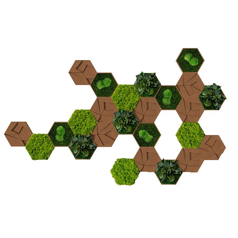 Moswand Hexagon set van 25