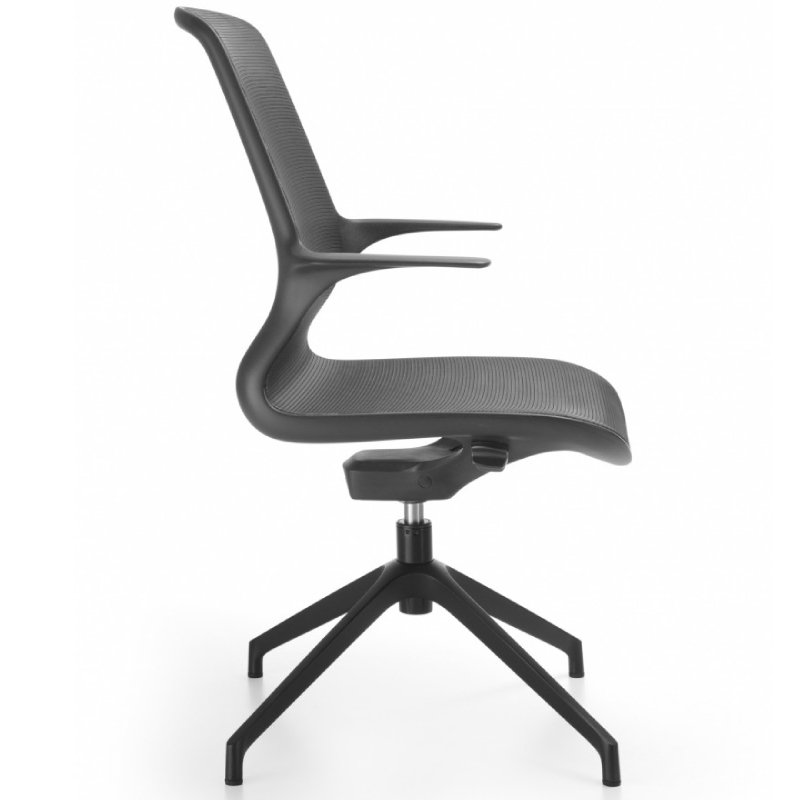 Ovidio 4R black