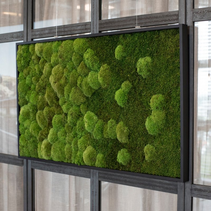 Mosschilderij met zwarte lijst