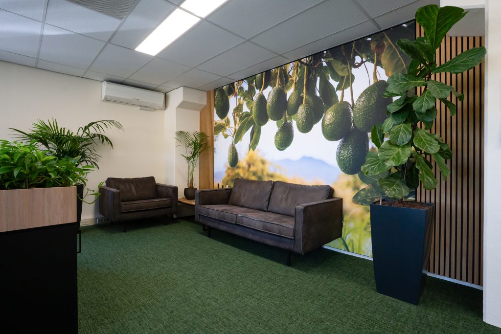 Fotobehang avocado's