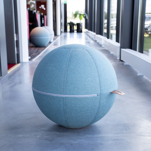 Office Ball zitbal voor kantoor