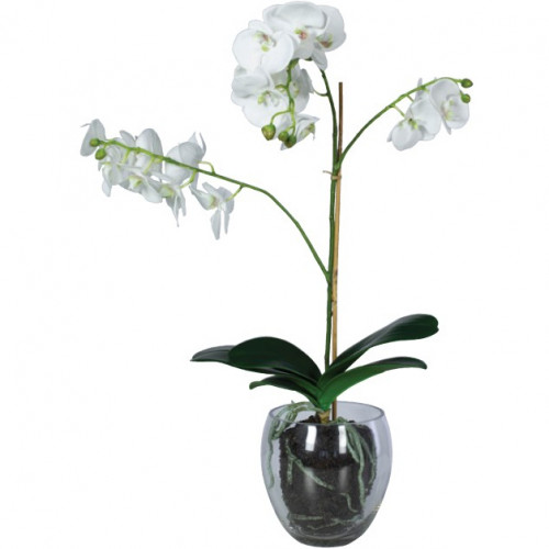 Kunstplant orchidee online bestellen