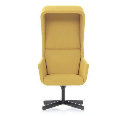 Akoestische fauteuil positiva