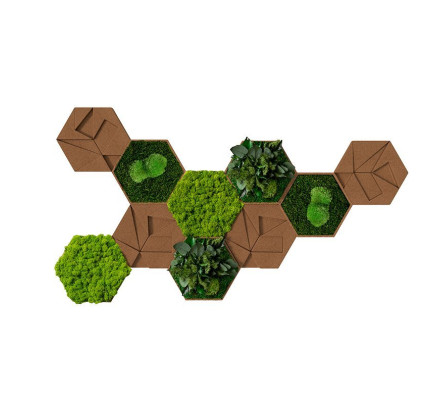 Moswand Hexagon set van 10