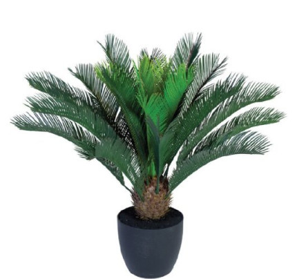 Cycas palm realitsche kunstplanten kopen