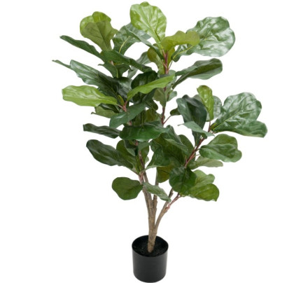 Kunstplant Fiol Ficus