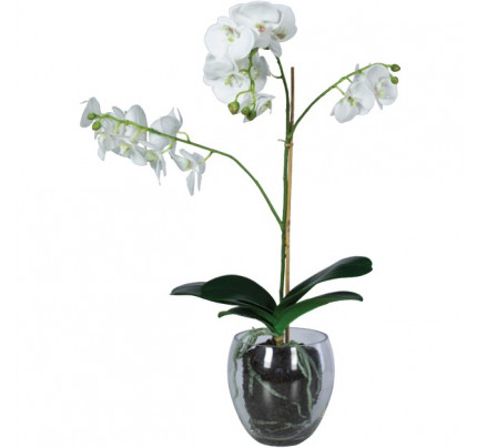 Kunstplant Orchidee Phalaenopsis