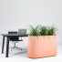 roomdivider buzziplanter