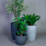 Kunstplant cycas plant 70 cm hoog