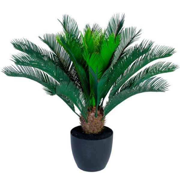 Editor Manifesteren Met bloed bevlekt Kunstplant Cycas Palm 70cm hoog | Kunstbomen | MV Kantoor