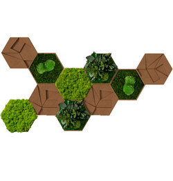 Moswand Hexagon